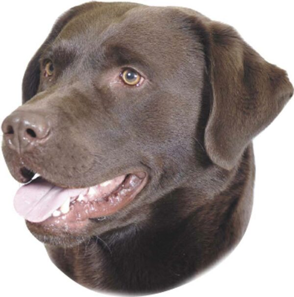 24 lustige Hunde Aufkleber mit Knochen, MATTE Papieraufkleber (ø